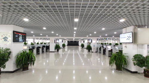 電子商務(wù)龍頭企業(yè),發(fā)展空間大,福利待遇優(yōu)