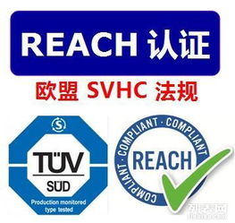 reach測試要求reach法規要求是什么reach注冊產品