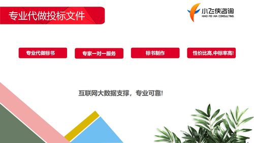 2021天津代寫標書,價格500元 小飛俠正規