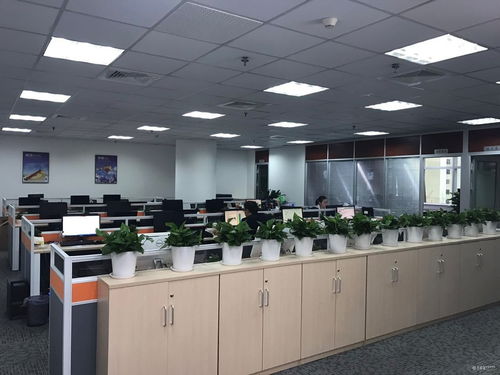 企業發展速度快,工作環境好 看準網