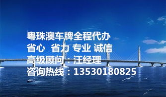 科普什么是fv港牌寶粵港澳跨境車牌辦理咨詢
